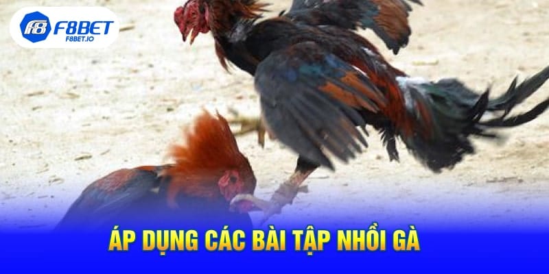 Áp Dụng Các Bài Tập Nhồi Gà 