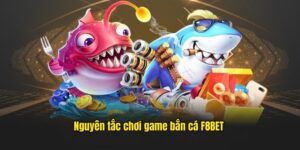 Hướng Dẫn Cách Chơi Bắn Cá Đơn Giản Và Hiệu Quả Tại 181BET 